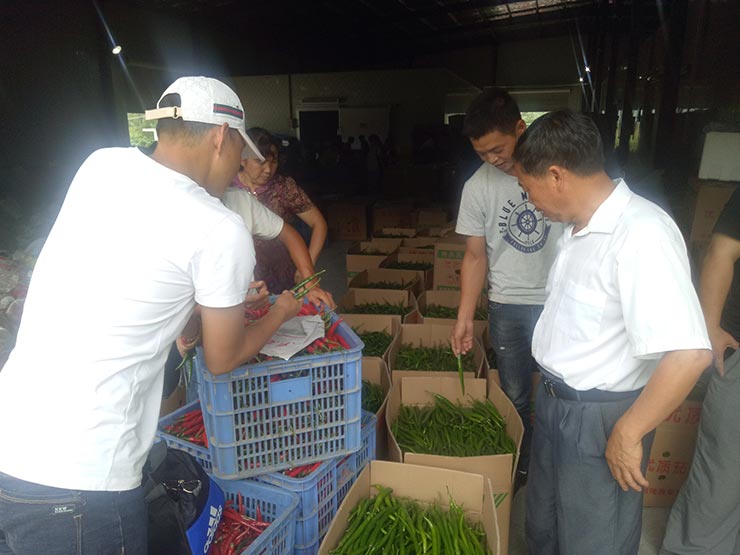 首页- 人生就是博中国官网入口