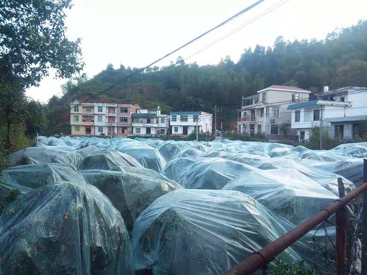 首页- 人生就是博中国官网入口