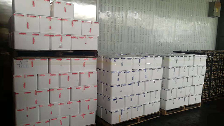 首页- 人生就是博中国官网入口