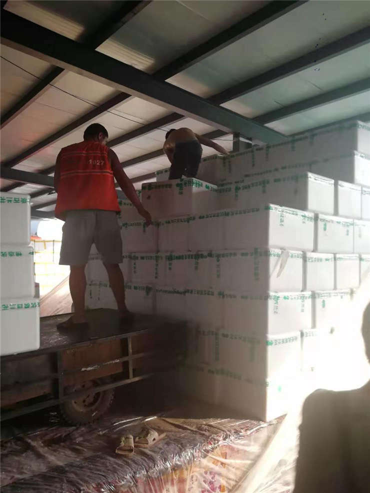 首页- 人生就是博中国官网入口