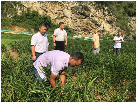 首页- 人生就是博中国官网入口