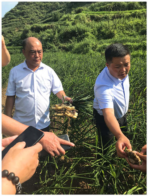 首页- 人生就是博中国官网入口