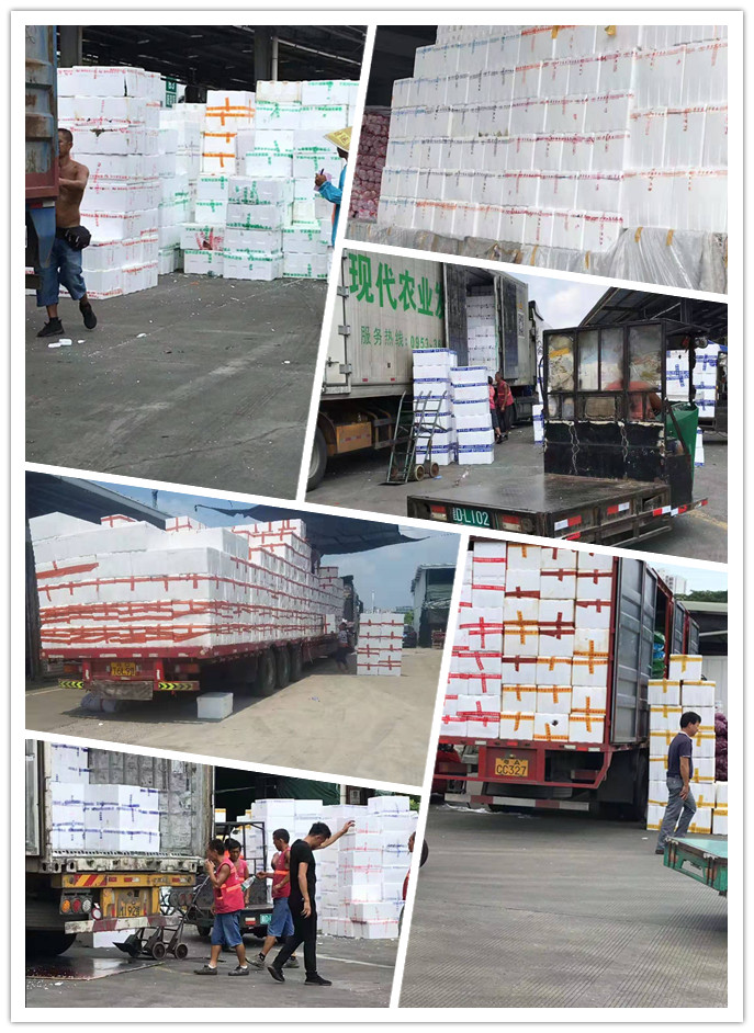 首页- 人生就是博中国官网入口