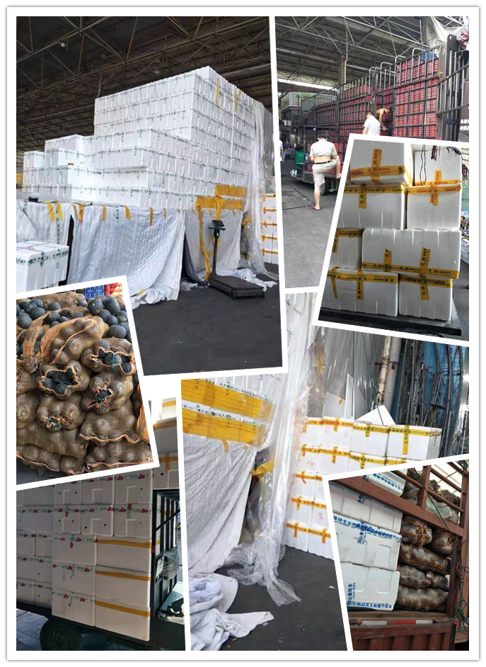 首页- 人生就是博中国官网入口