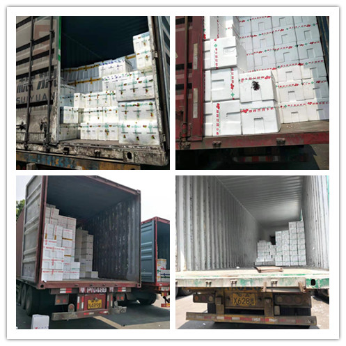 首页- 人生就是博中国官网入口