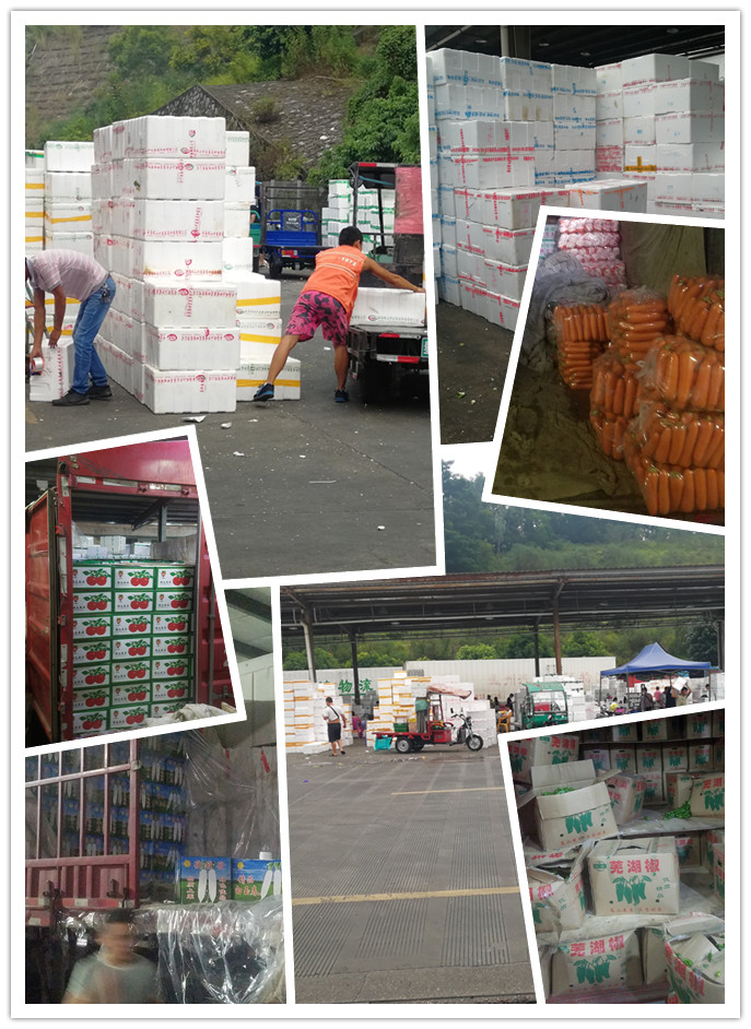 首页- 人生就是博中国官网入口