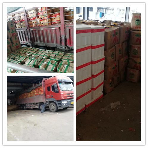 首页- 人生就是博中国官网入口