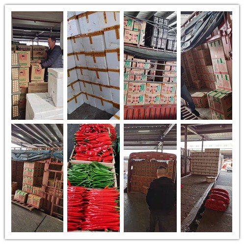 首页- 人生就是博中国官网入口