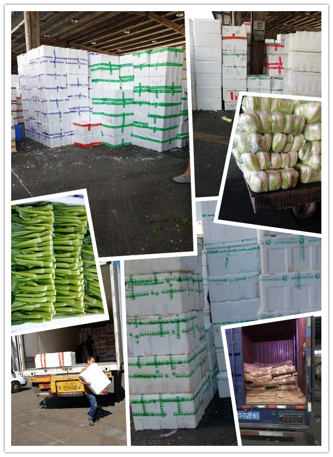 首页- 人生就是博中国官网入口