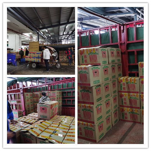 首页- 人生就是博中国官网入口