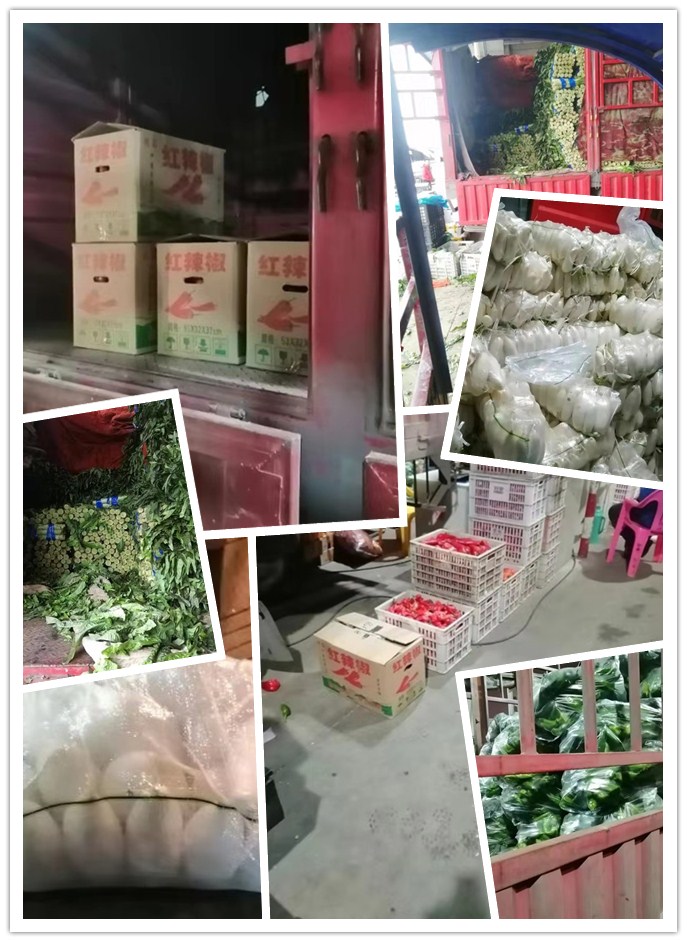 首页- 人生就是博中国官网入口