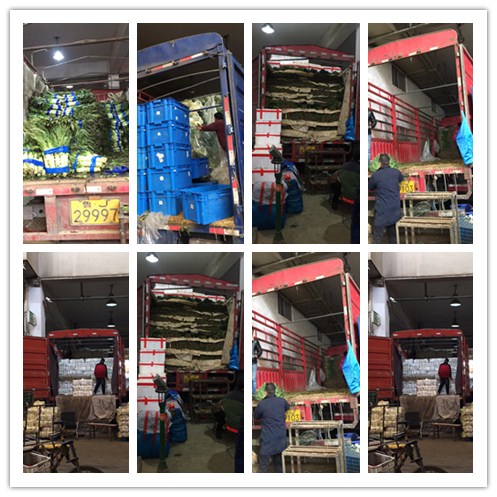 首页- 人生就是博中国官网入口