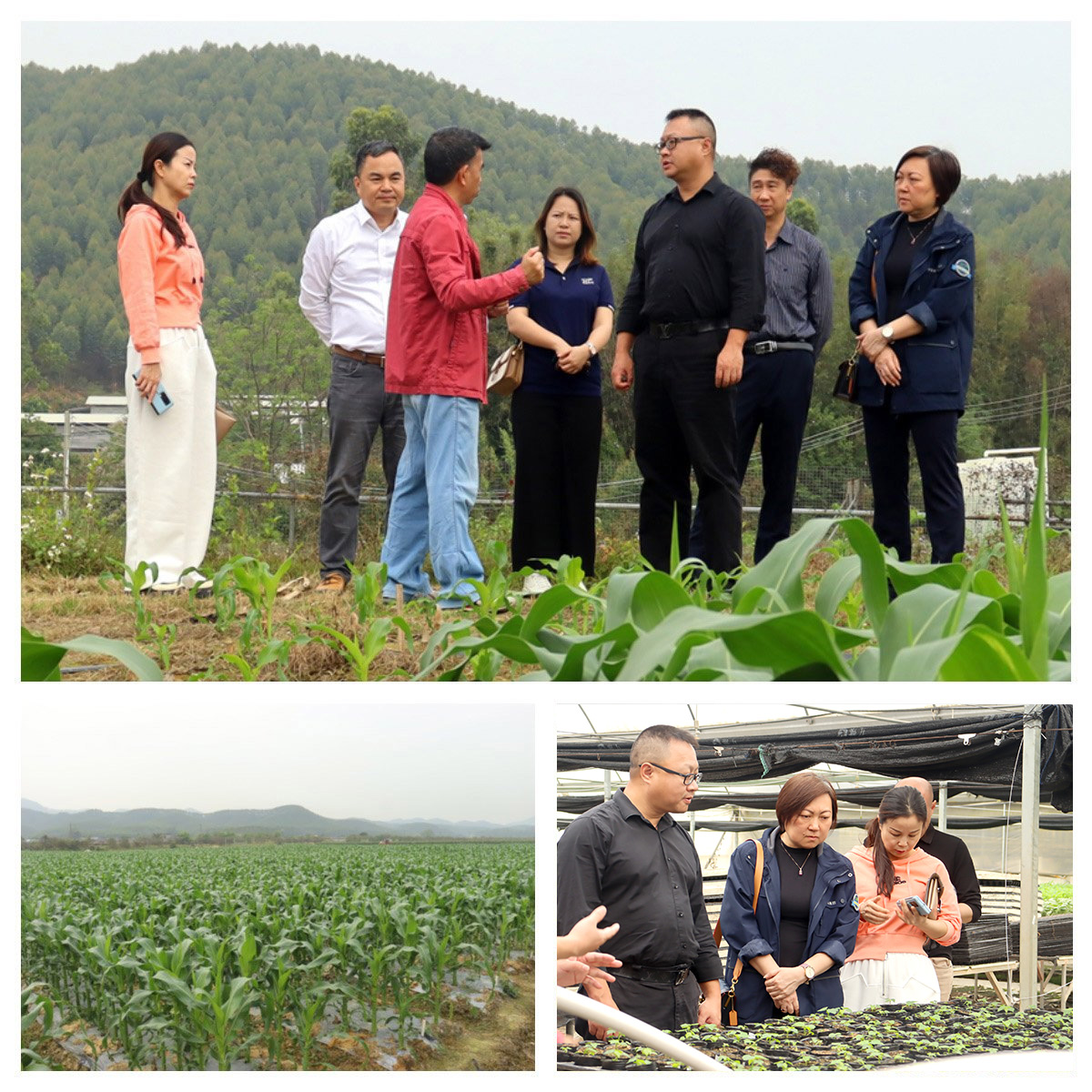 首页- 人生就是博中国官网入口