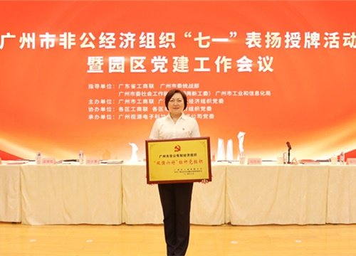 标杆引领，荣誉升级！集团党支部荣膺广州市非公有造经济组织“双强六好”标