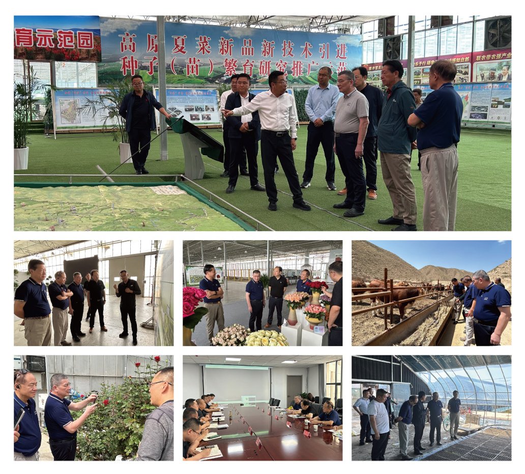 首页- 人生就是博中国官网入口