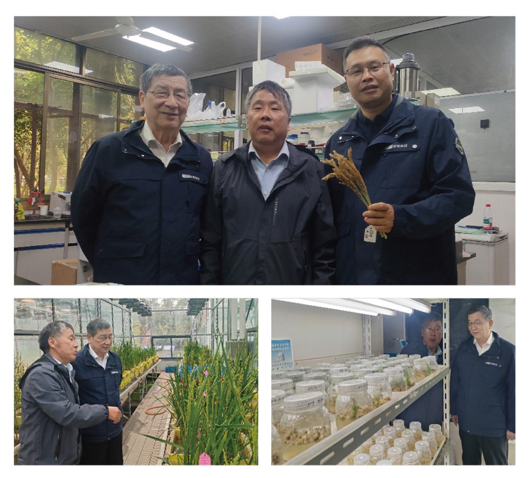 首页- 人生就是博中国官网入口